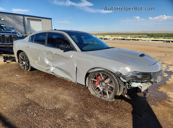 2C3CDXGJ5HH579278 2017 DODGE CHARGER Gray Առջևի աջ