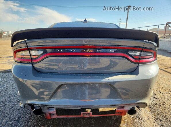 2C3CDXGJ5HH579278 2017 DODGE CHARGER Gray Հետևի տեսք
