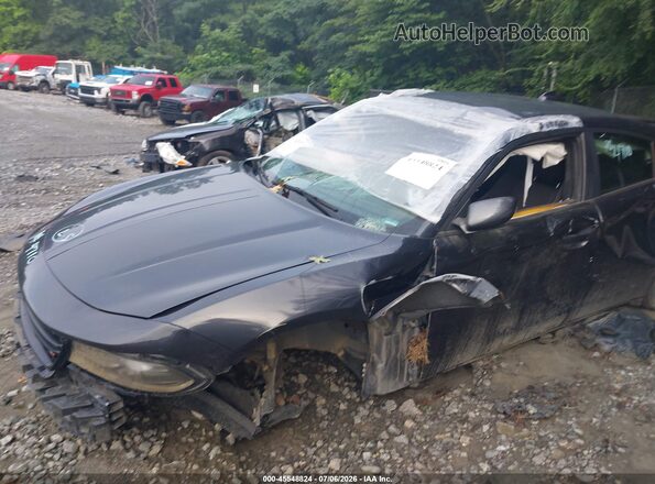 2C3CDXHG9HH525033 2017 DODGE CHARGER Gray Вид спереду