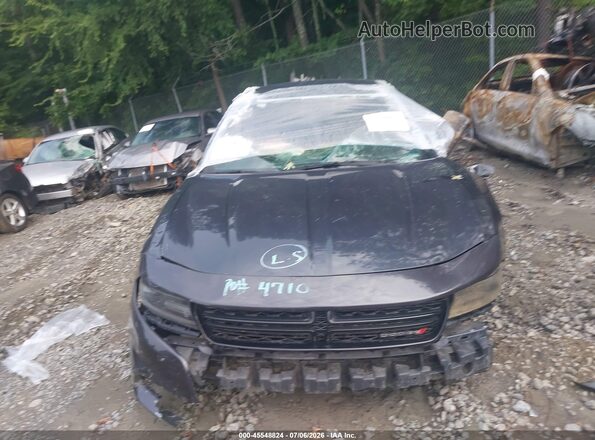 2C3CDXHG9HH525033 2017 DODGE CHARGER Gray Вид задньої частини салону