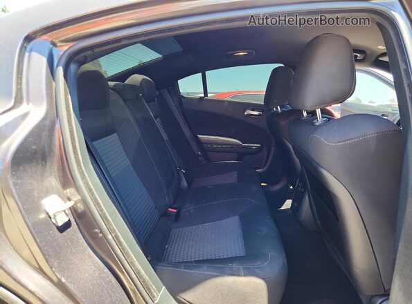 2C3CDXHG9PH555731 2023 DODGE CHARGER Gray Widok tylnych siedzeń