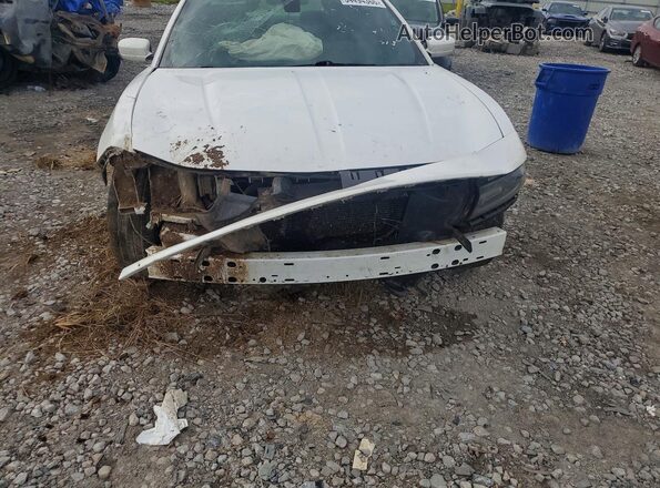 2C3CDXJG2MH683203 2021 DODGE CHARGER White Front view