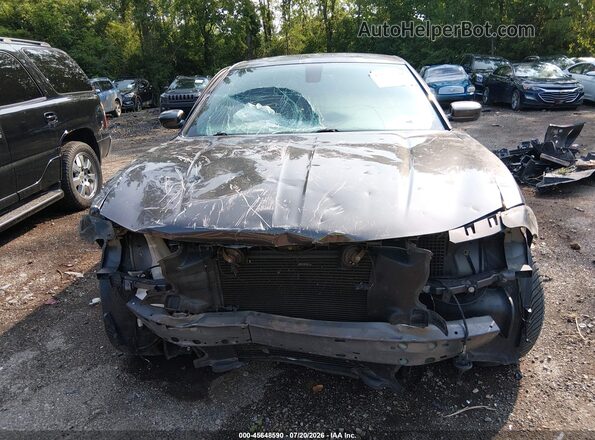 2C3CDXJG3GH273076 2016 DODGE CHARGER Gray Rear interior view