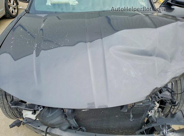 2C3CDXJG3GH286457 2016 DODGE CHARGER Gray Widok wnętrza z tyłu