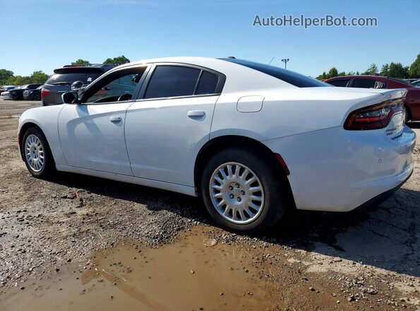 2C3CDXKT3KH622449 2019 DODGE CHARGER White Tył lewy