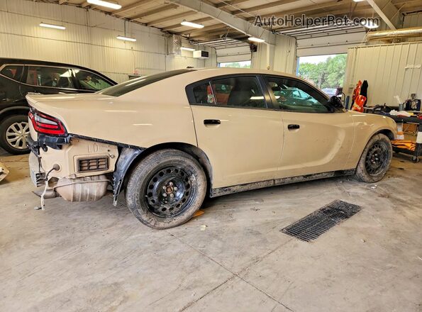 2C3CDXKTXKH683815 2019 DODGE CHARGER Tan Задня права чверть