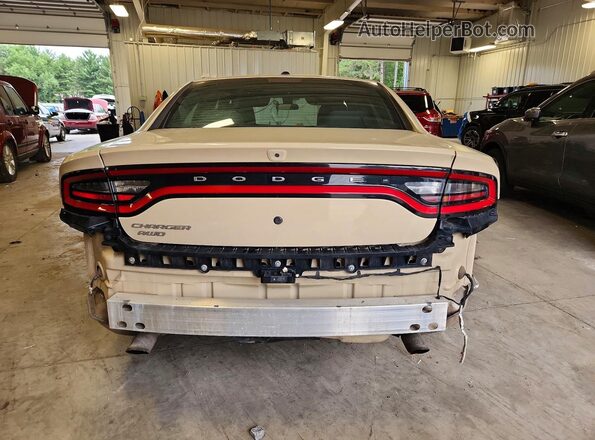2C3CDXKTXKH683815 2019 DODGE CHARGER Tan Вид ззаду