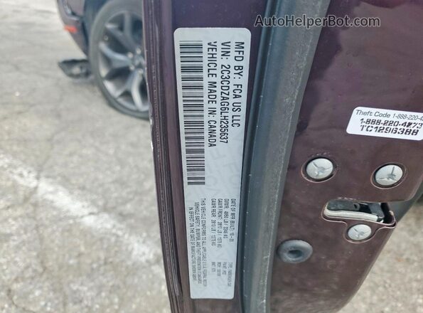 2C3CDZAG6LH235637 2020 DODGE CHALLENGER Фиолетовый Вид подкапотного пространства