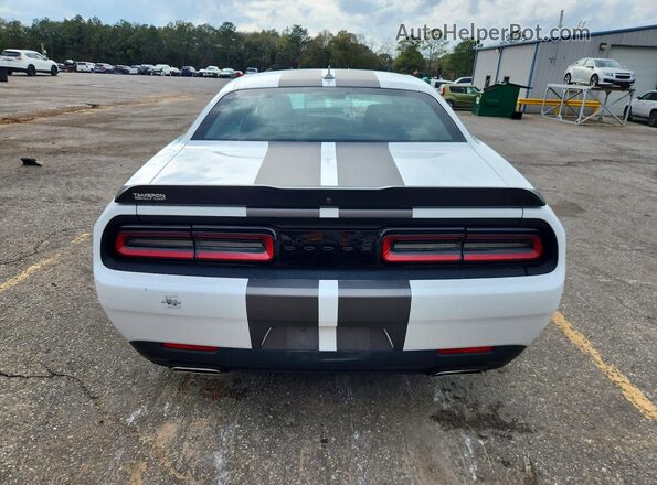 2C3CDZAG6PH570841 2023 DODGE CHALLENGER White Widok z tyłu