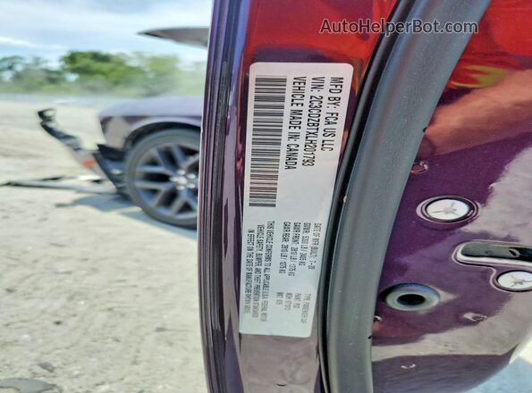 2C3CDZBTXLH201793 2020 DODGE CHALLENGER Purple Вид наклейки з VIN-кодом