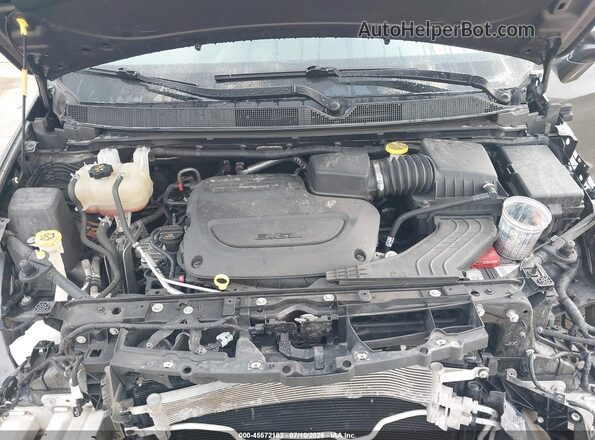 2C4RC1GG9LR234560 2020 CHRYSLER PACIFICA Gray Rear view