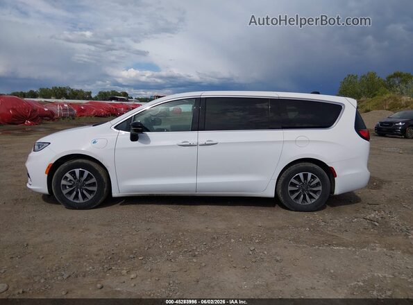 2C4RC1S75RR134519 2024 CHRYSLER PACIFICA Белый 