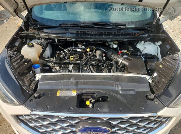 2FMPK3K91LBB57511 2020 FORD EDGE White უკანა სალონის ხედი