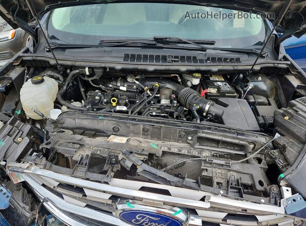 2FMPK3K97LBA96455 2020 FORD EDGE Синий Вид подкапотного пространства