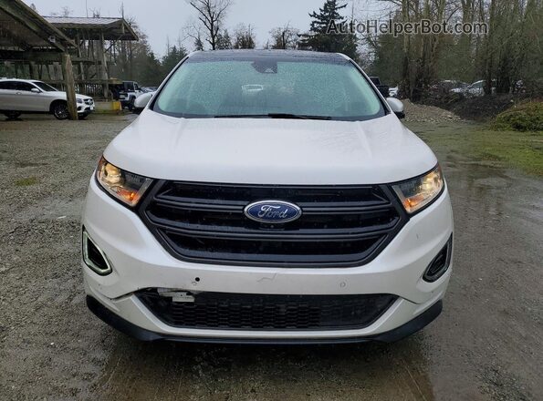 2FMPK4AP9HBB48553 2017 FORD EDGE White Widok z przodu