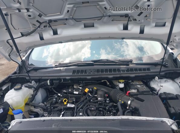 2FMPK4G91RBB25021 2024 FORD EDGE White Vista trasera