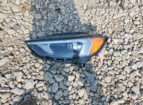 2FMPK4J93RBA17363 2024 FORD EDGE Maroon Vista del compartimento del motor
