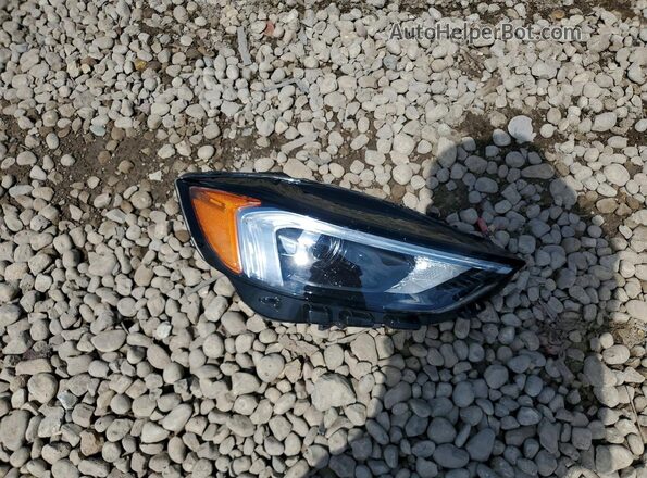 2FMPK4J94RBA67642 2024 FORD EDGE Silver Widok komory silnika