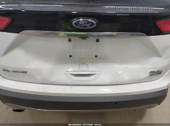 2FMPK4J96KBC45363 2019 FORD EDGE White Front view
