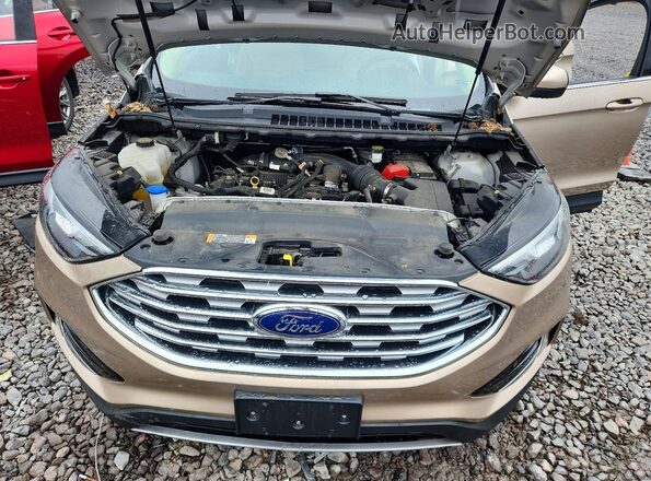 2FMPK4J96MBA16149 2021 FORD EDGE Желто-коричневый Вид задней части салона