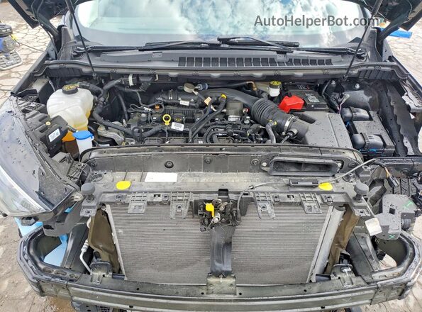 2FMPK4J96RBA14571 2024 FORD EDGE Черный Вид подкапотного пространства
