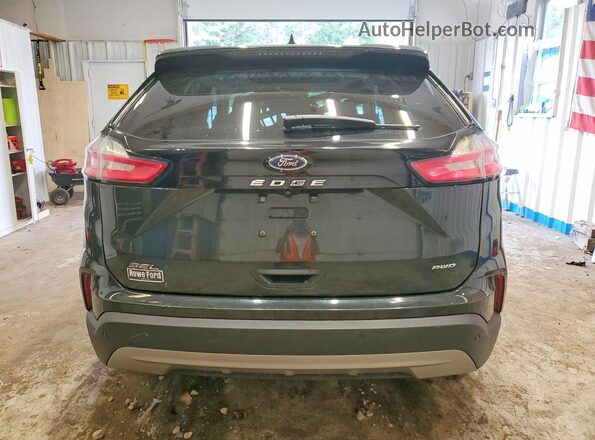 2FMPK4J99NBA05597 2022 FORD EDGE Green Vista trasera