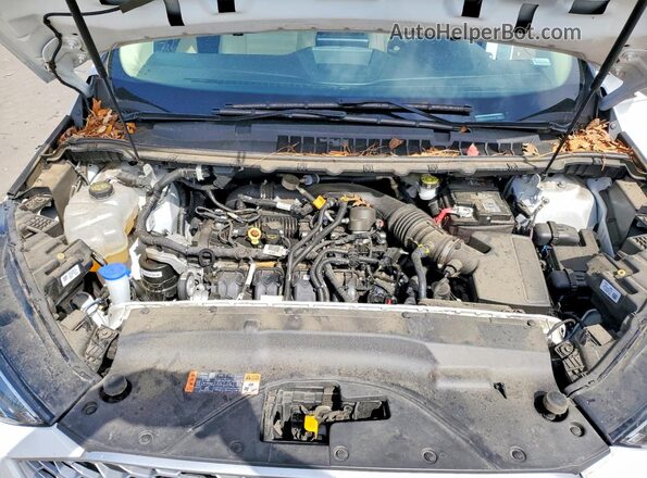 2FMPK4J99RBA98742 2024 FORD EDGE White Սալոնի հետևի տեսք