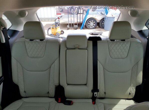 2FMPK4K92RBA02657 2024 FORD EDGE Gray Вид задніх сидінь