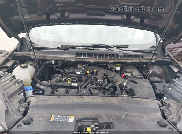 2FMPK4K96LBA70077 2020 FORD EDGE Maroon უკანა ხედი