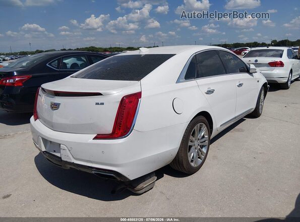 2G61M5S35K9130347 2019 CADILLAC XTS Cream Задня права чверть