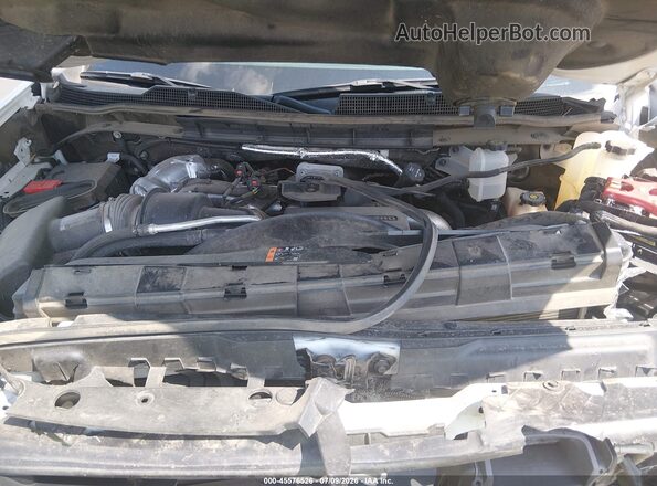 2GC1KNEY2S1226526 2025 CHEVROLET SILVERADO Белый Вид сзади
