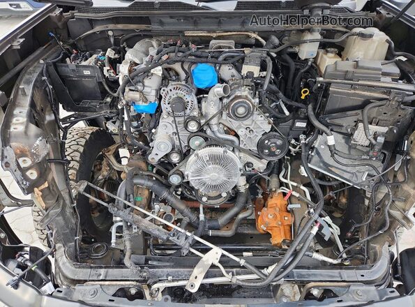 2GC4KTEY7S1211862 2025 CHEVROLET SILVERADO Черный Вид задней части салона
