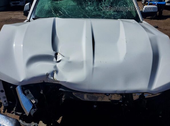 2GCVKPECXK1107849 2019 CHEVROLET SILVERADO White Vista interior trasera