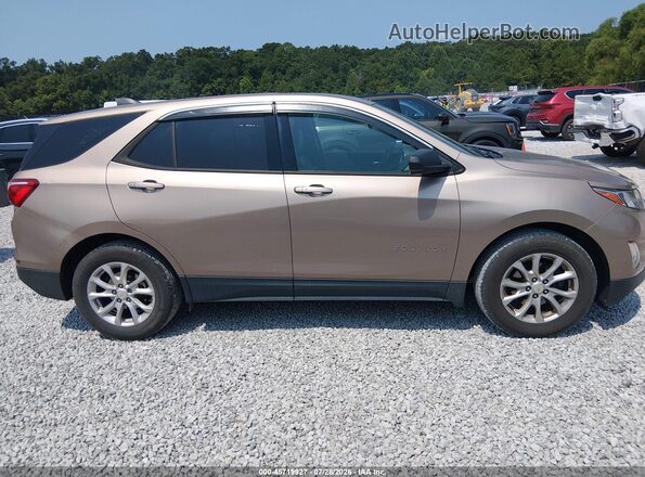 2GNAXHEV1K6287952 2019 CHEVROLET EQUINOX Желто-коричневый Вид задней части салона