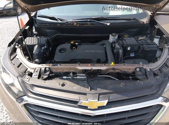 2GNAXHEV1K6287952 2019 CHEVROLET EQUINOX Желто-коричневый Вид сзади
