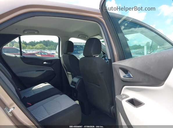 2GNAXHEV4K6253116 2019 CHEVROLET EQUINOX Champagne VIN კოდის სტიკერის ხედი