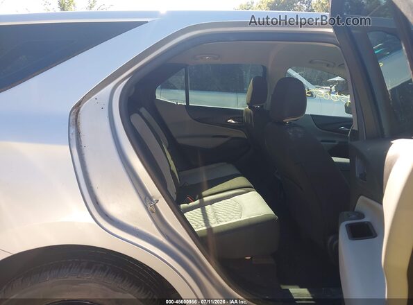 2GNAXHEV5K6187515 2019 CHEVROLET EQUINOX Silver VIN կոդի պիտակի տեսք