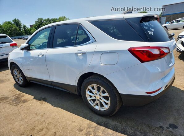 2GNAXJEV8K6163071 2019 CHEVROLET EQUINOX White Tył lewy