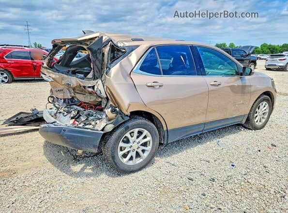 2GNAXKEV0K6236004 2019 CHEVROLET EQUINOX Коричневый Задняя правая четверть