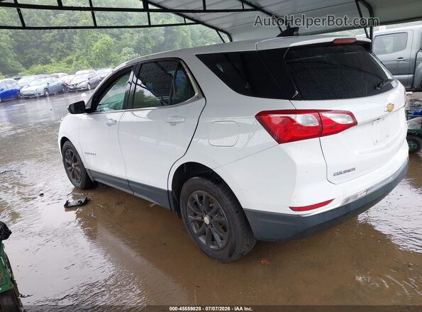 2GNAXKEV4L6144427 2020 CHEVROLET EQUINOX Белый Задняя левая четверть
