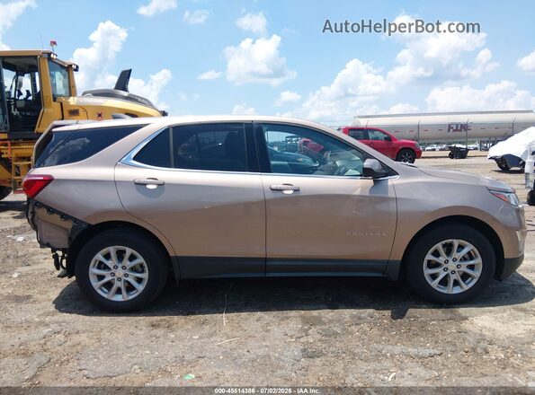 2GNAXKEV8K6131131 2019 CHEVROLET EQUINOX Gold უკანა სალონის ხედი