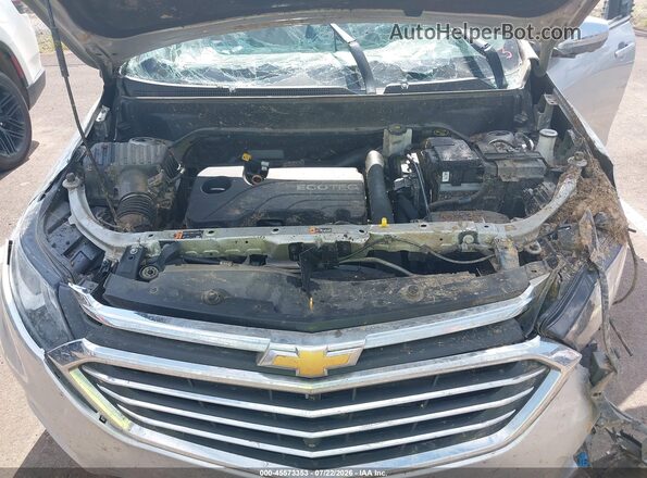 2GNAXNEv6K6288089 2019 CHEVROLET EQUINOX Gray Հետևի տեսք