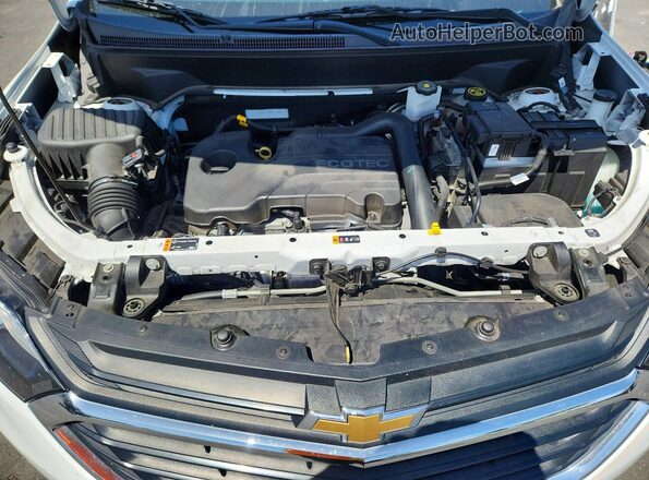 2GNAXTEV8M6159990 2021 CHEVROLET EQUINOX Белый Вид задней части салона