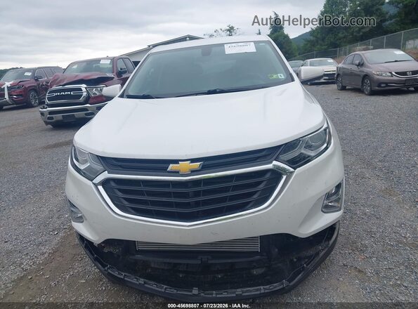 2GNAXUEV3K6256856 2019 CHEVROLET EQUINOX White უკანა სალონის ხედი