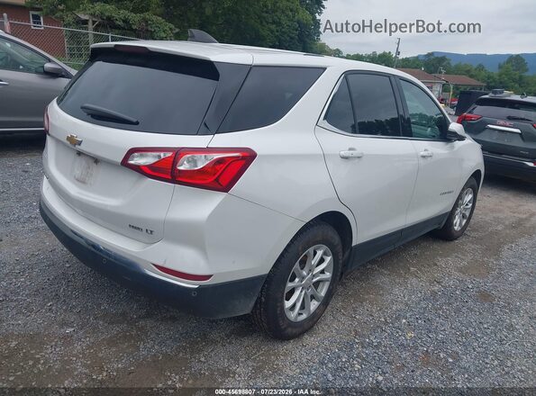2GNAXUEV3K6256856 2019 CHEVROLET EQUINOX White უკანა მარჯვენა