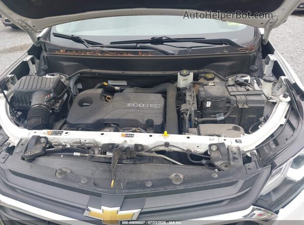 2GNAXUEV3K6256856 2019 CHEVROLET EQUINOX White უკანა ხედი
