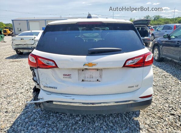 2GNAXUEV5K6104433 2019 CHEVROLET EQUINOX Белый Вид сзади
