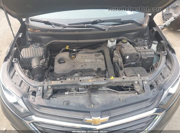 2GNAXUEV8K6120187 2019 CHEVROLET EQUINOX Серый Вид сзади
