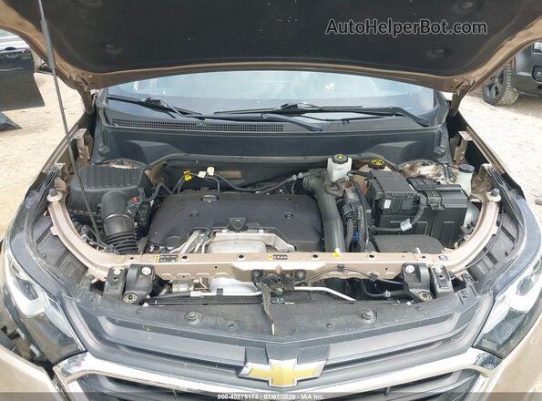 2GNAXVEX2K6108706 2019 CHEVROLET EQUINOX Brown Widok z tyłu
