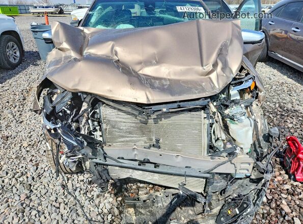 2GNAXYEX3K6271043 2019 CHEVROLET EQUINOX Желто-коричневый Вид задней части салона